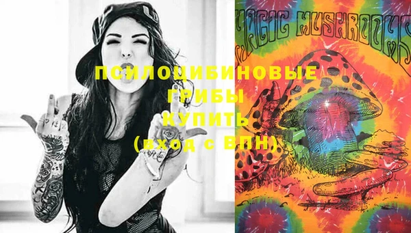 молекула духа Иннополис
