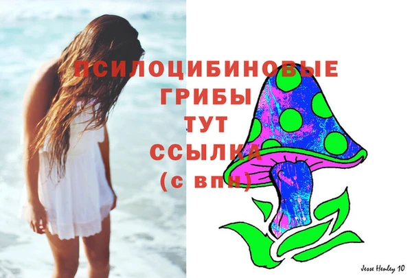 гидропоника Инсар