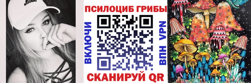 Купить где  Новосиль  Галлюциногенные грибы GOLDEN TEACHER 