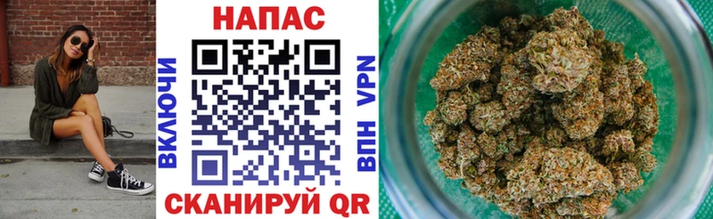 Купить закладки  Новосиль  Каннабис SATIVA & INDICA 